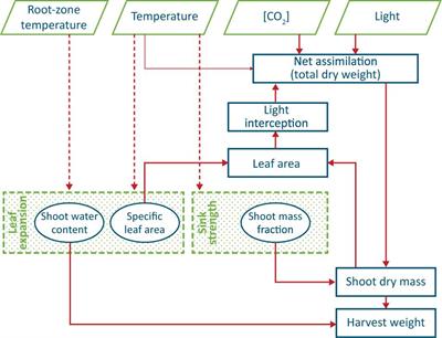 Plant Factories Are Heating Up: Hunting for the Best Combination of Light Intensity, Air Temperature and Root-Zone Temperature in Lettuce Production